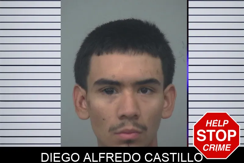 Diego Alfredo Castillo Mugshots