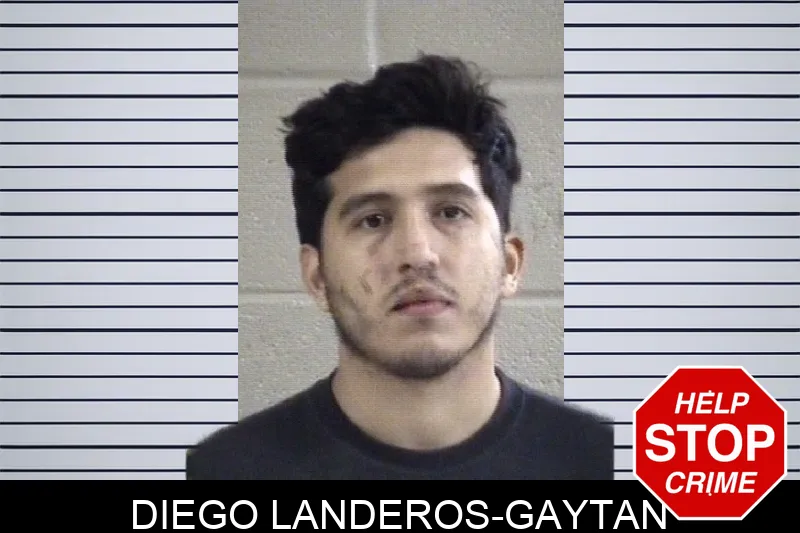 Diego Landeros-Gaytan Mugshots