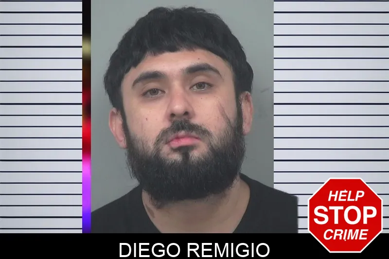 Diego Remigio mugshot – Gwinnett County , Georgia Diego Remigio mugshot