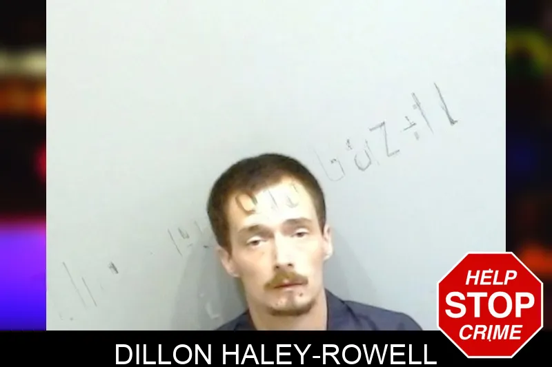 Dillon Haley-Rowell mugshot