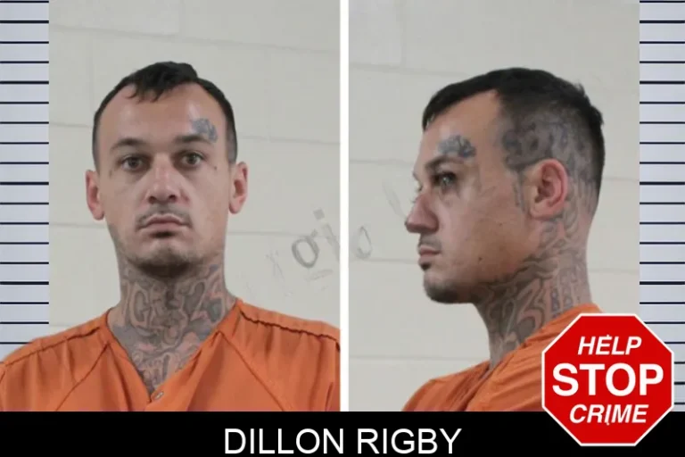 Dillon Rigby mugshot – Houston County , Georgia Dillon Rigby