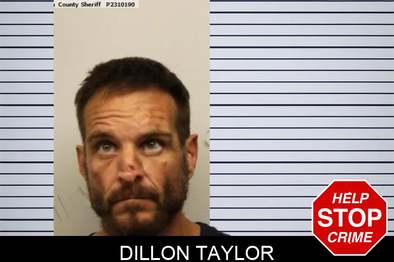 Dillon Taylor Mugshots