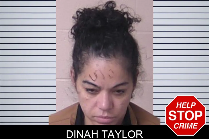 Dinah Taylor Mugshots