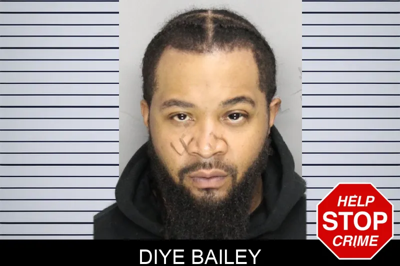 Diye Bailey mugshot – Cobb County , Georgia Diye Bailey mugshot