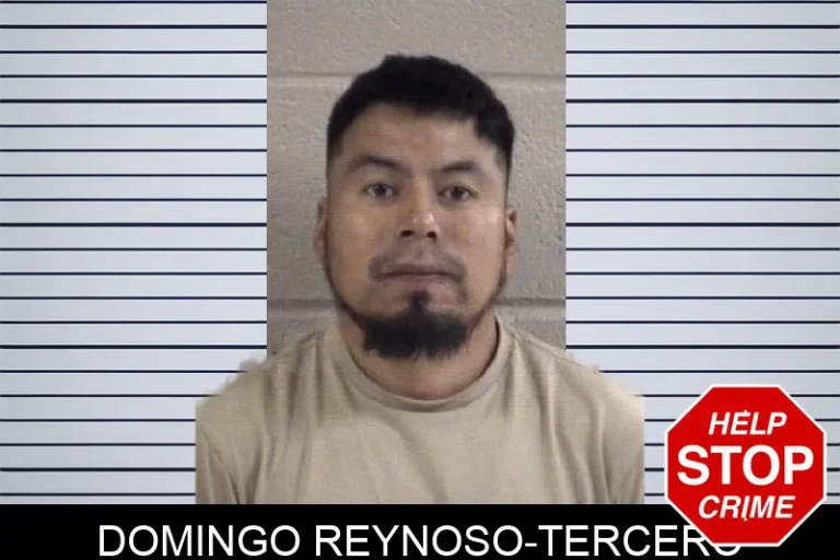 Domingo Reynoso-Tercero