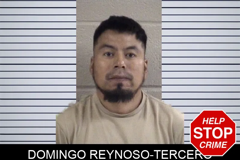 Domingo Reynoso-Tercero