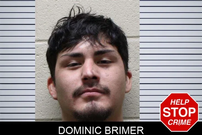 Dominic Brimer