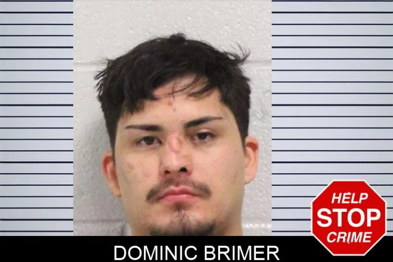 Dominic Brimer