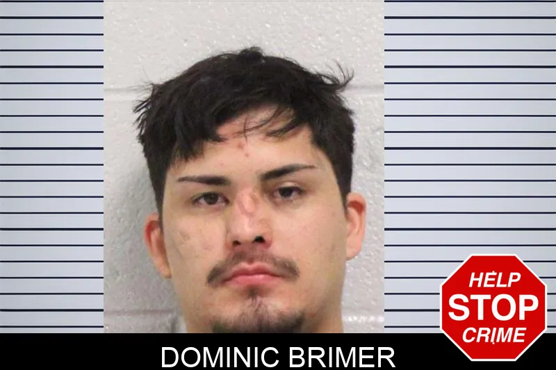 Dominic Brimer mugshot – Carroll County , Georgia Dominic Brimer mugshot