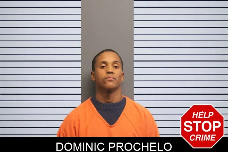 Dominic Prochelo