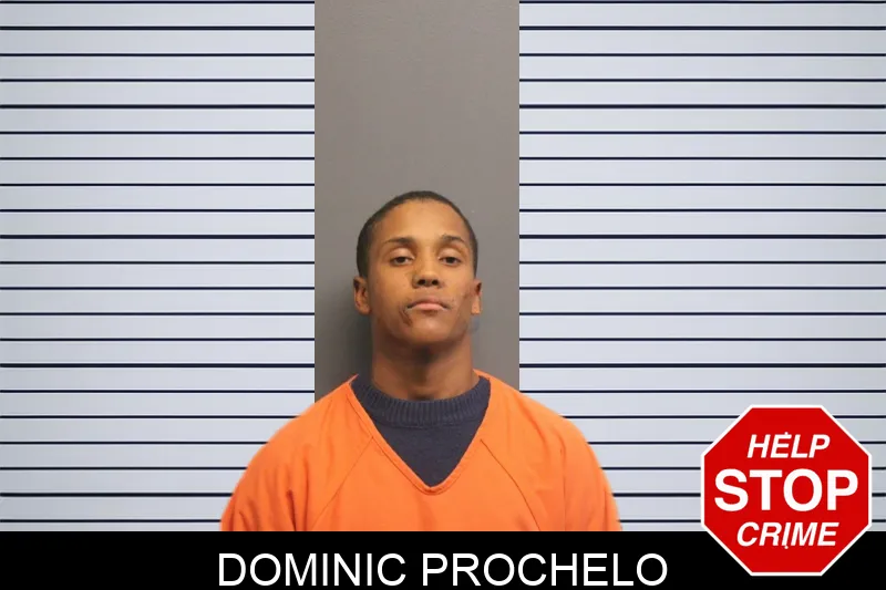 Dominic Prochelo