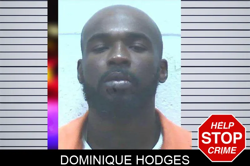 Dominique Hodges Mugshots