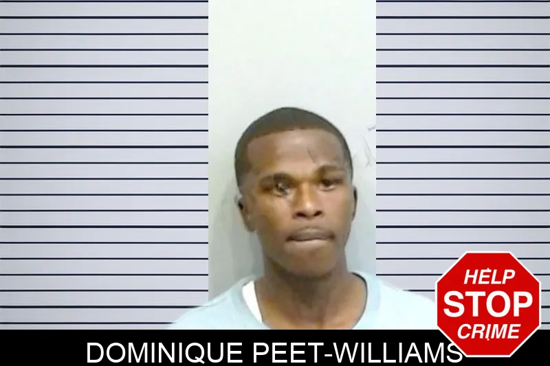Dominique Peet-Williams Mugshots