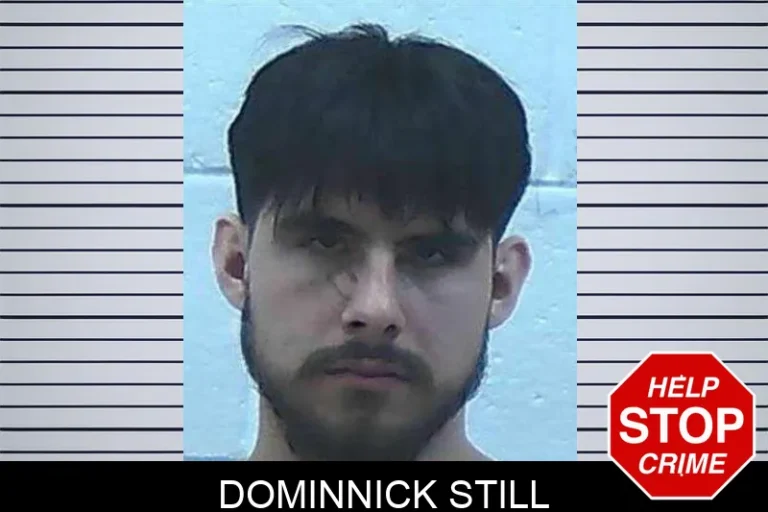 Dominnick Still
