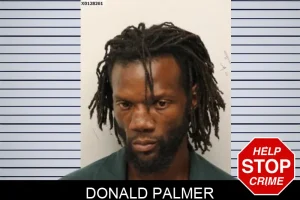 Donald Palmer mugshot