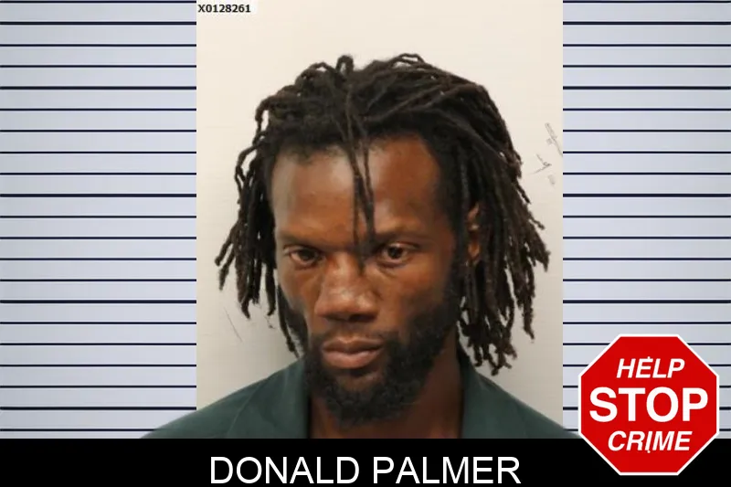 Donald Palmer Mugshots