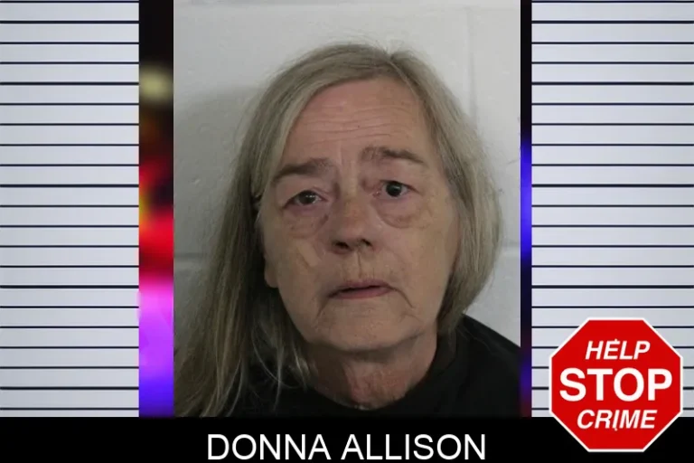 Donna Allison