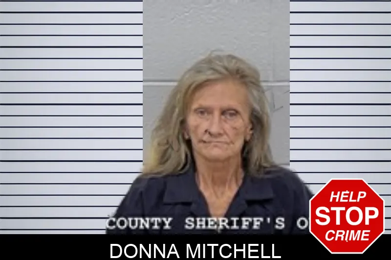 Donna Mitchell Mugshots