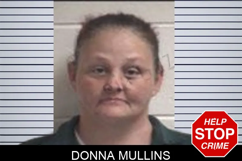 Donna Mullins mugshot