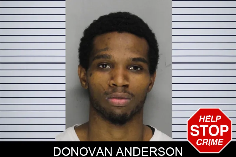 Donovan Anderson mugshot