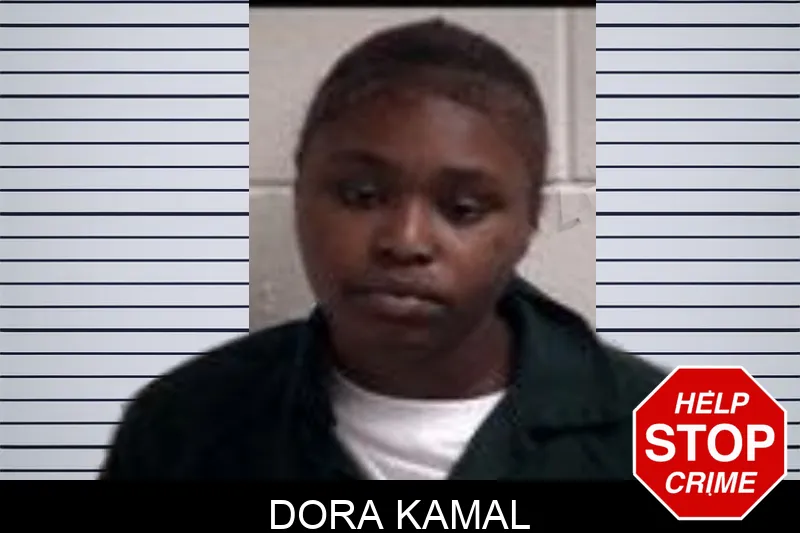 Dora Kamal mugshot – Henry County , Georgia Dora Kamal mugshot