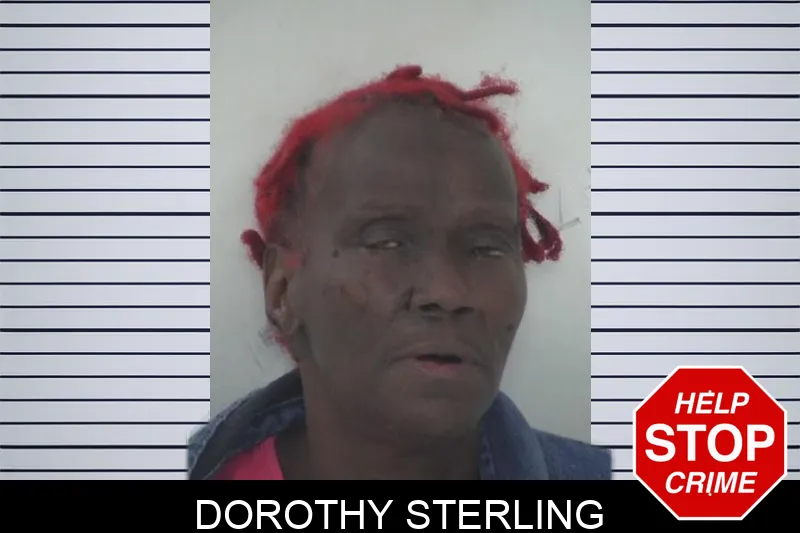 Dorothy Sterling