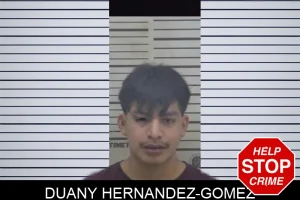 Duany Hernandez-Gomez mugshot
