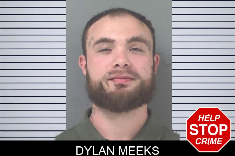 Dylan Meeks mugshot