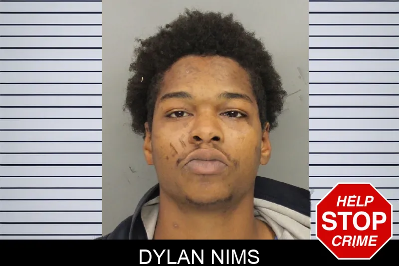 Dylan Nims mugshot – Cobb County , Georgia Dylan Nims mugshot