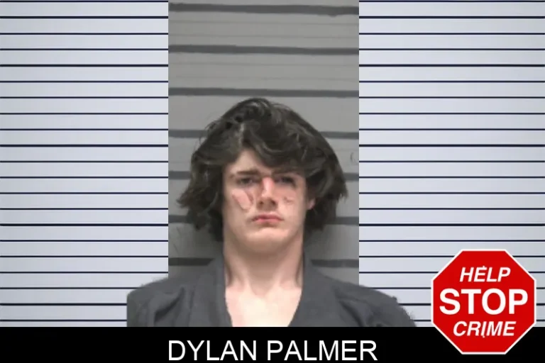 Dylan Palmer