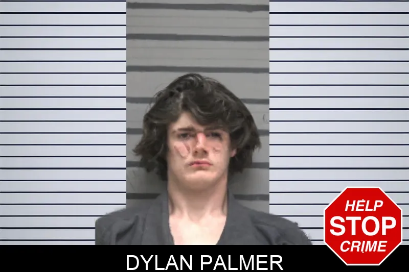 Dylan Palmer Mugshots