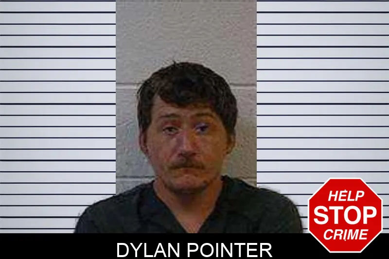 Dylan Pointer