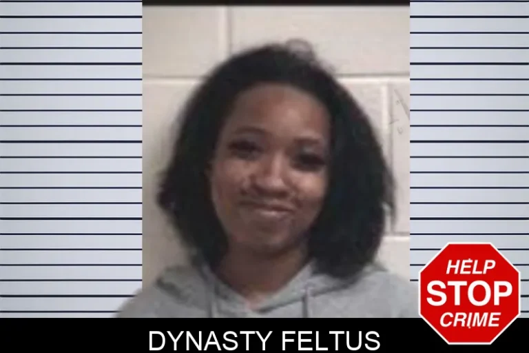Dynasty Feltus