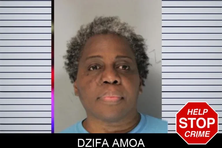Dzifa Amoa mugshot – Hall County , Georgia Dzifa Amoa