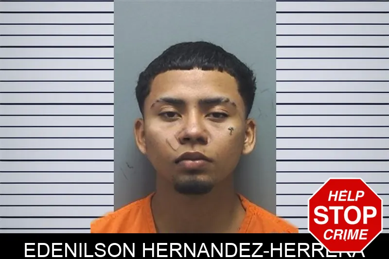 Edenilson Hernandez-Herrera mugshot