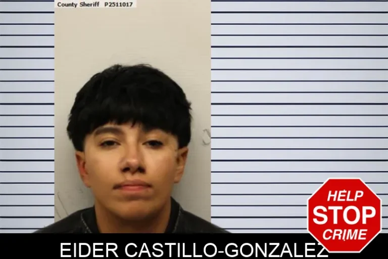 Eider Castillo-Gonzalez mugshot – Chatham County , Georgia Eider Castillo-Gonzalez