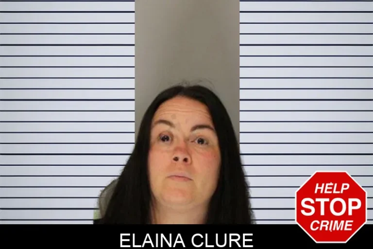 Elaina Clure mugshot – Hall County , Georgia Elaina Clure
