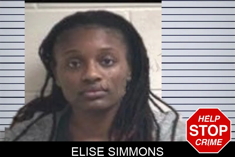 Elise Simmons Mugshots
