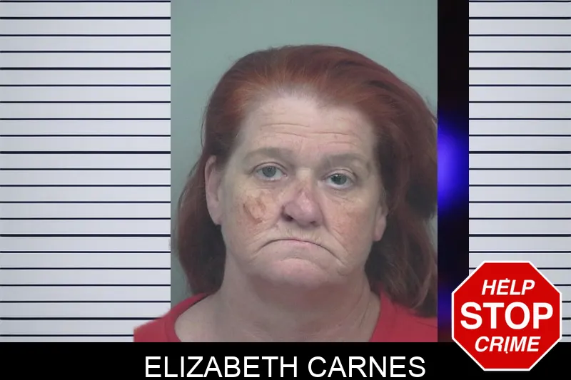 Elizabeth Carnes mugshot