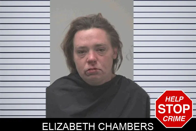 Elizabeth Chambers mugshot
