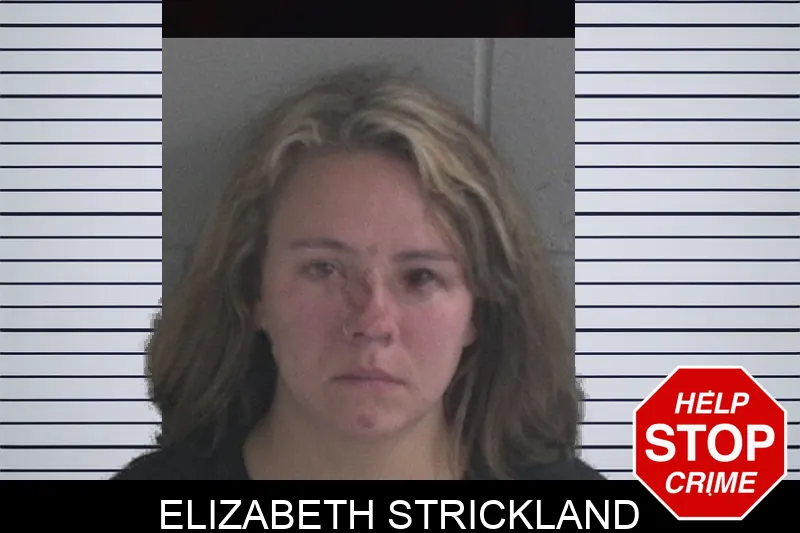 Elizabeth Strickland Mugshots
