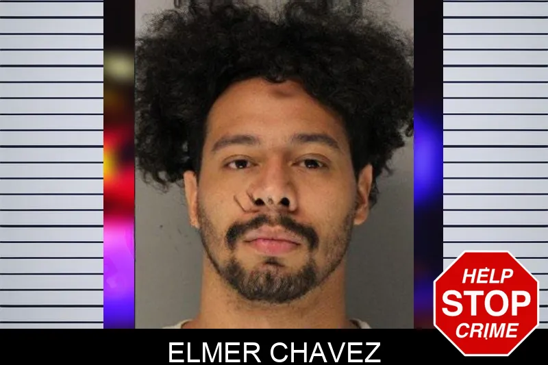 Elmer Chavez Mugshots