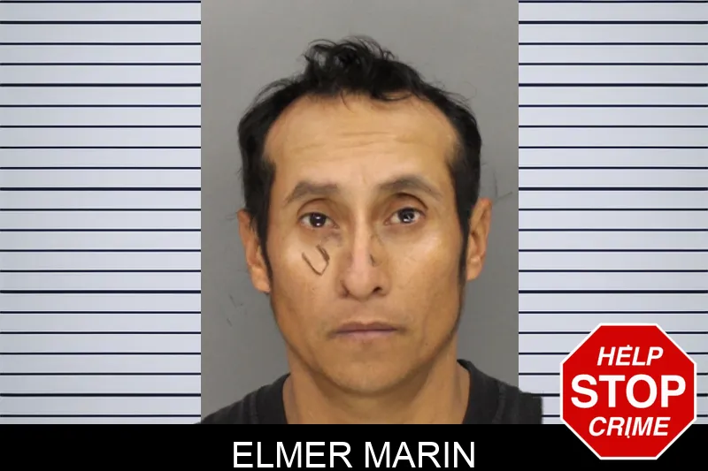 Elmer Marin Mugshots