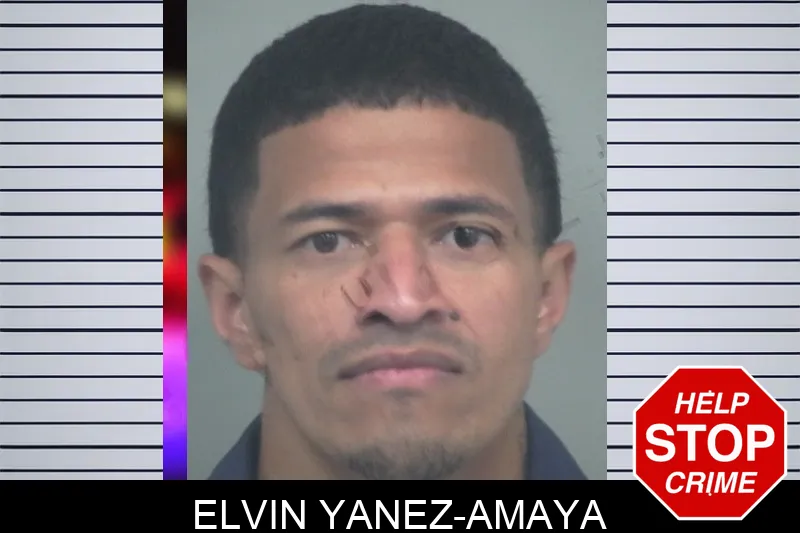 Elvin Yanez-Amaya Mugshots
