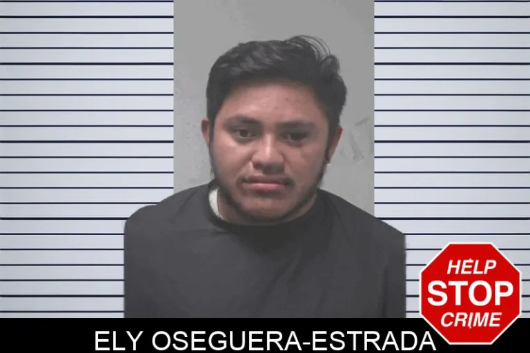 Ely Oseguera-Estrada
