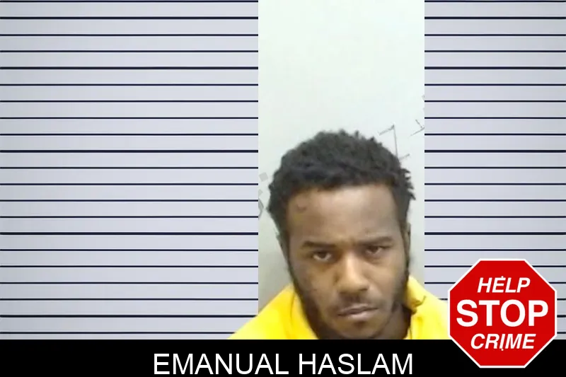 Emanual Haslam mugshot – Fulton County , Georgia Emanual Haslam mugshot