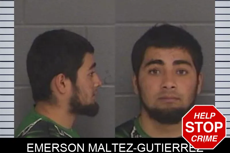 Emerson Maltez-Gutierrez Mugshots