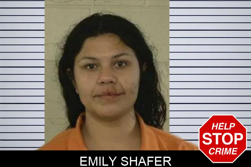 Emily Shafer Mugshots