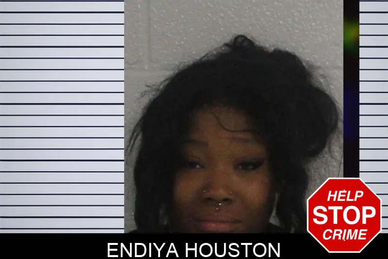 Endiya Houston mugshot – Carroll County , Georgia Endiya Houston mugshot