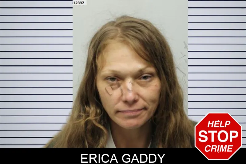 Erica Gaddy mugshot – Chatham County , Georgia Erica Gaddy mugshot